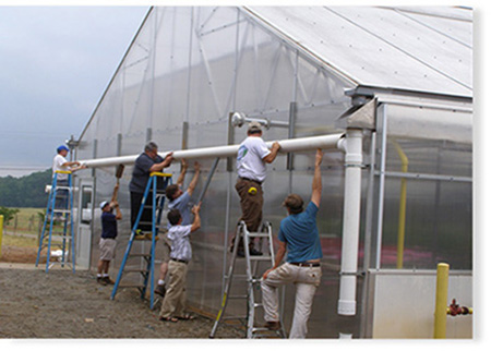 Greenhouses and Rainwater Harvesting: Cultivating Sustainability Year-Round