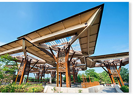 The Role of Rainwater Harvesting in Zoos